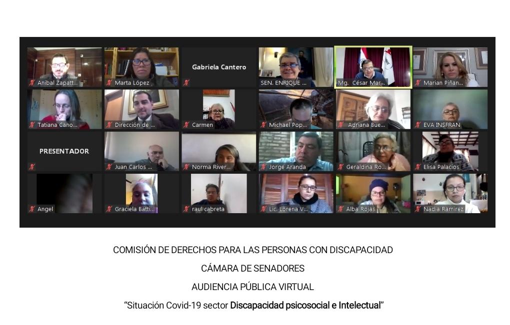 Audiencia Pública Virtual